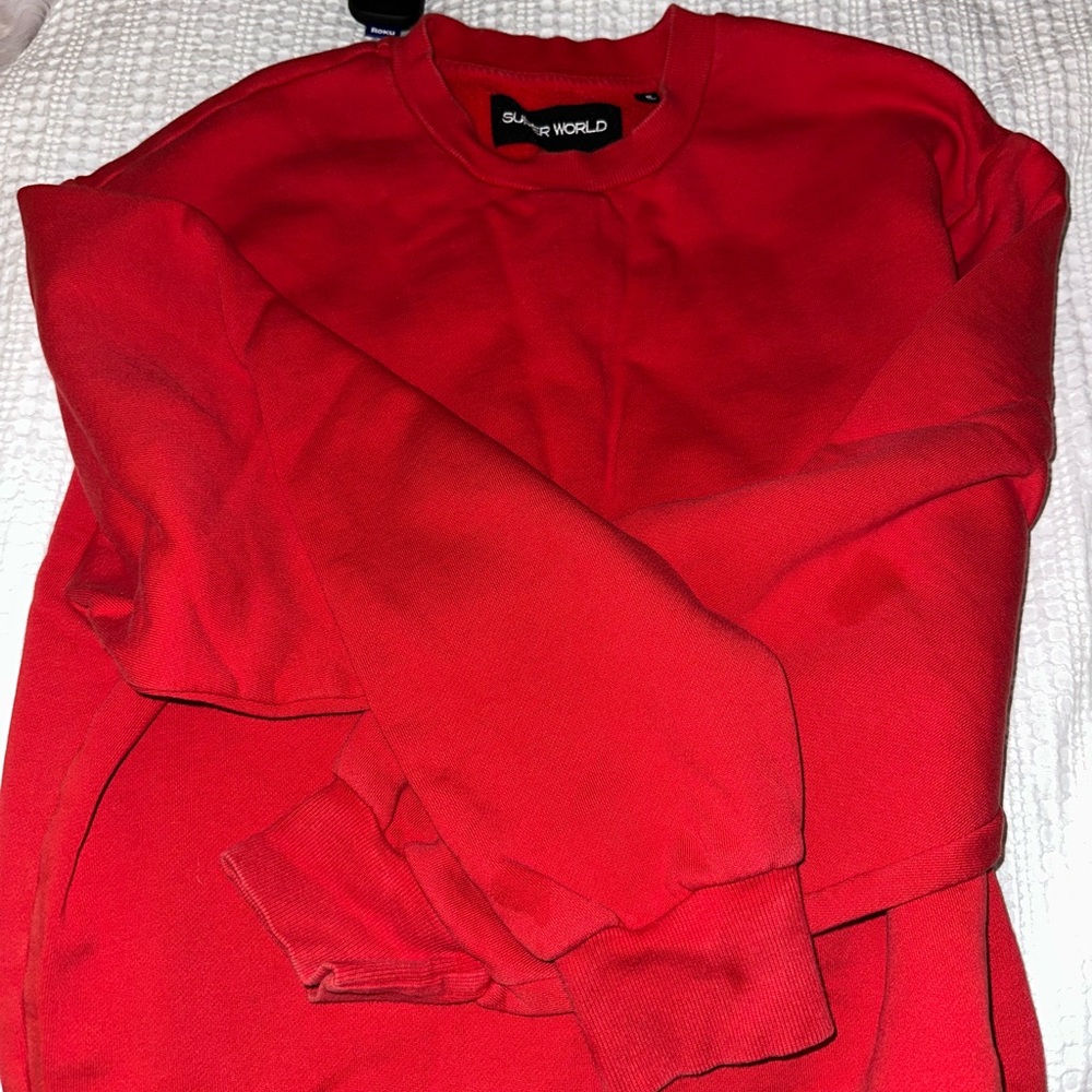 Aritiza Superworld Crewneck